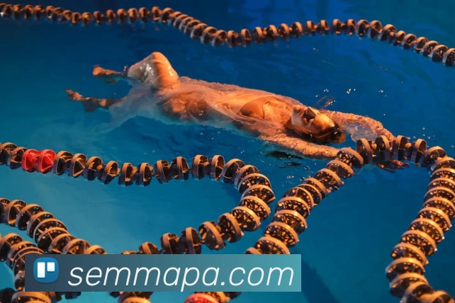 App Interface Preview