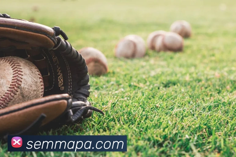 pa视讯APP 封面图